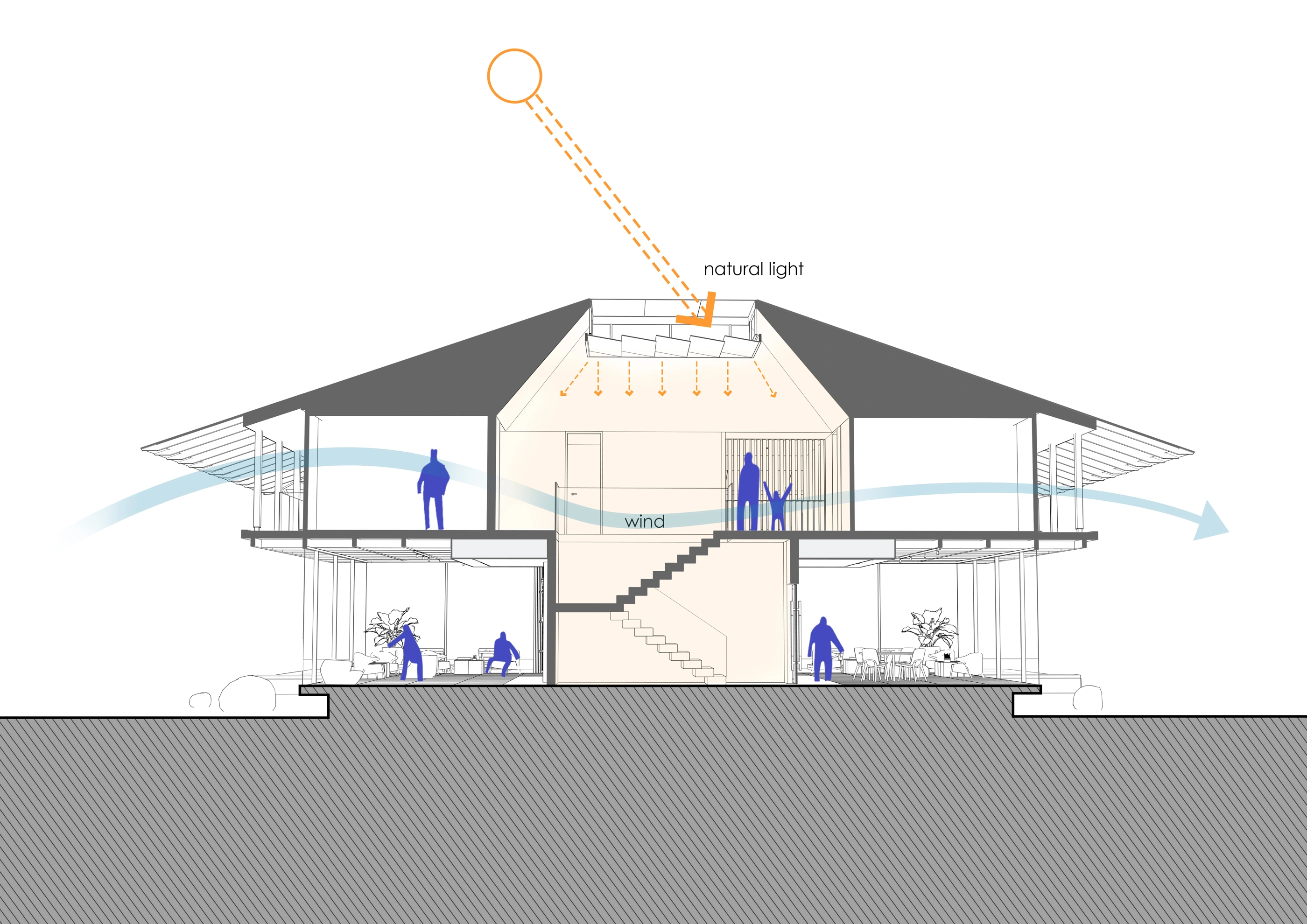 Section: natural light and cross ventilation
