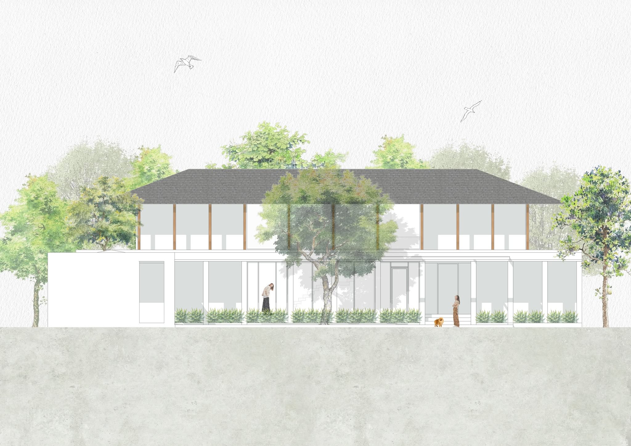 Rest and River House architectural elevation with courtyard tree